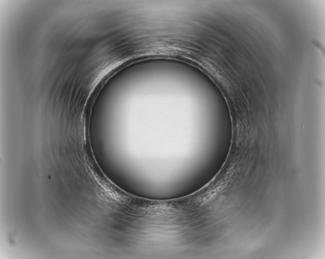 X0000098100838200804181422