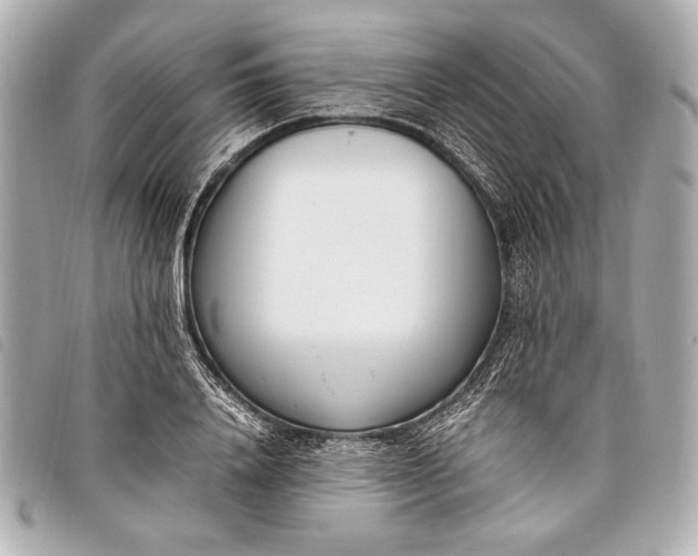 X0000098100840200804181422