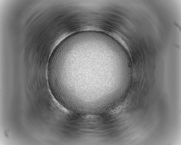 X0000098100847200804181423