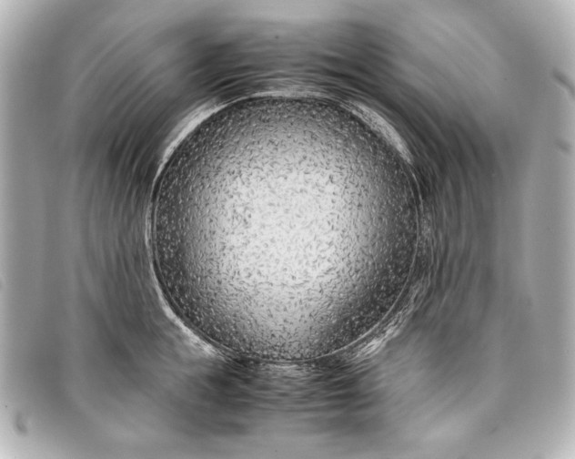 X0000098100855200804181423