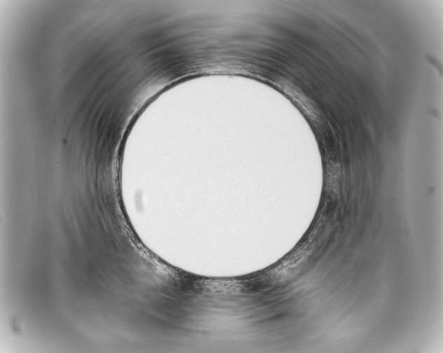X0000098100856200804181423