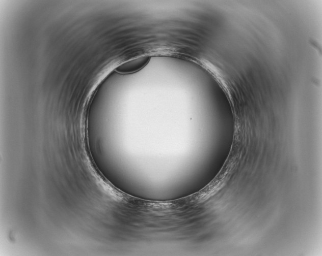X0000098100859200804181423