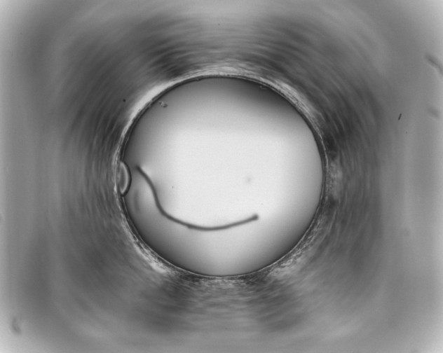 X0000098100862200804181423