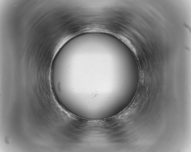 X0000098100863200804181423