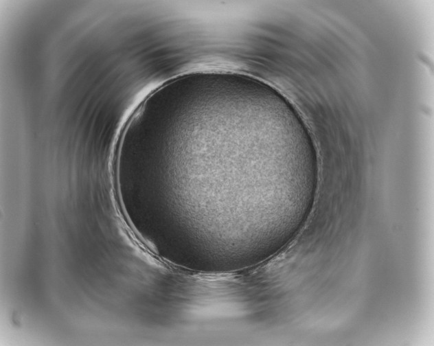 X0000098100864200804181423