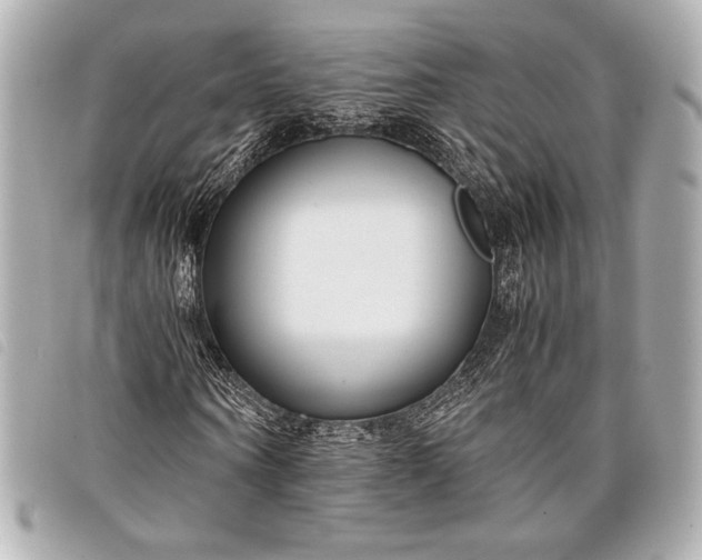 X0000098100866200804181422
