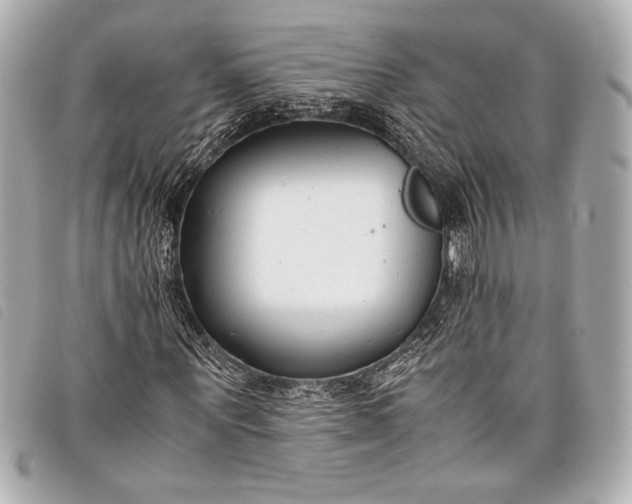 X0000098100867200804181422