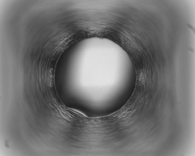 X0000098100868200804181422
