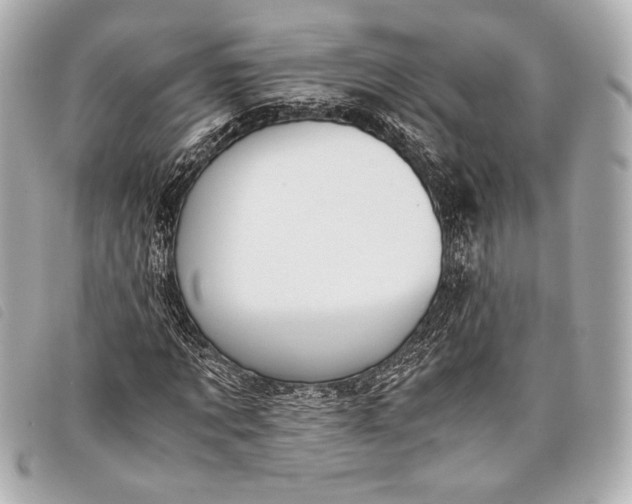 X0000098100869200804181422