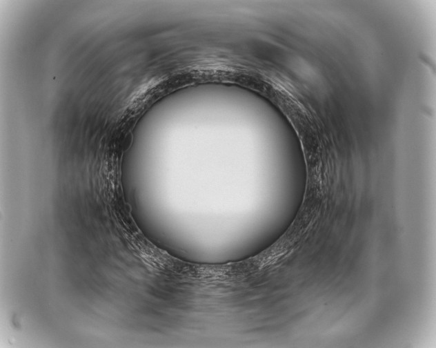 X0000098100870200804181422