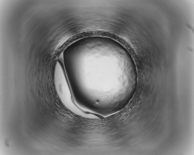 X0000098100871200804181422