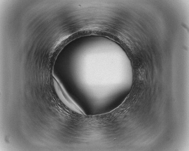 X0000098100872200804181422