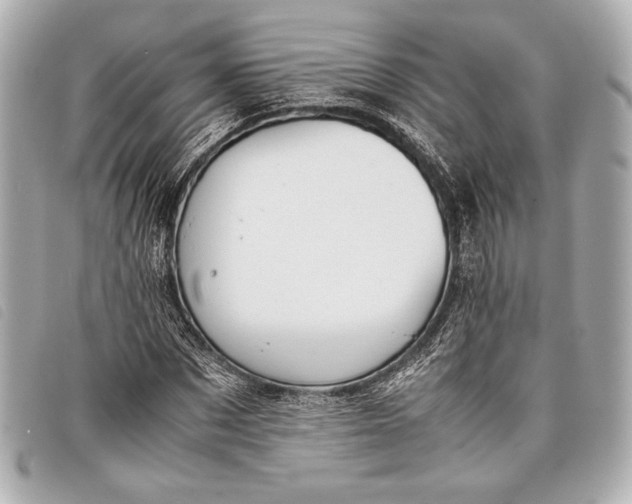 X0000098100873200804181422