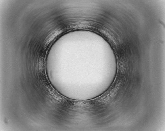 X0000098100874200804181422