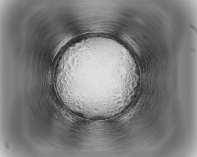 X0000098100875200804181422