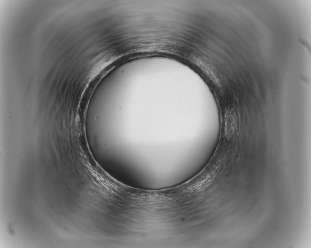 X0000098100876200804181422