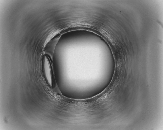 X0000098100877200804181422