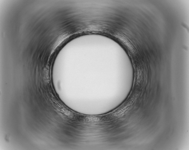 X0000098100878200804181422
