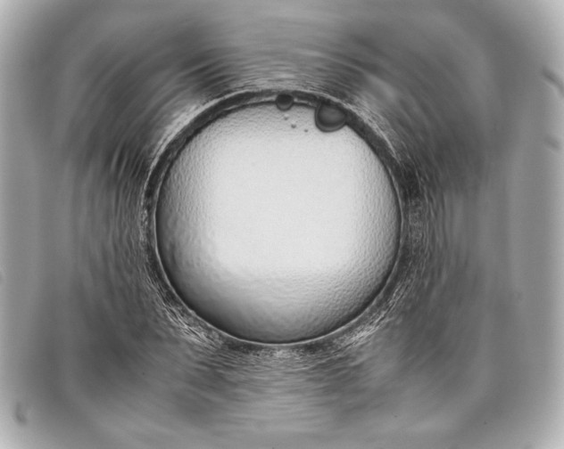 X0000098100879200804181422