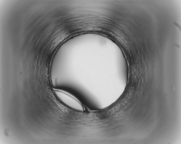 X0000098100881200804181422