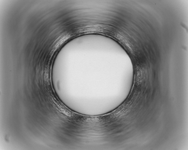 X0000098100882200804181422