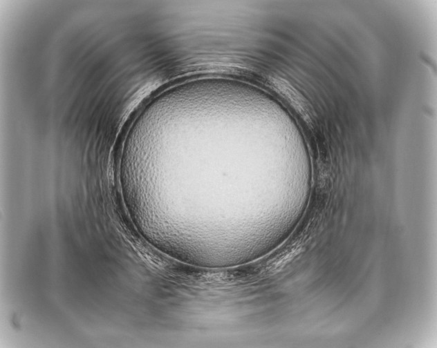 X0000098100883200804181422