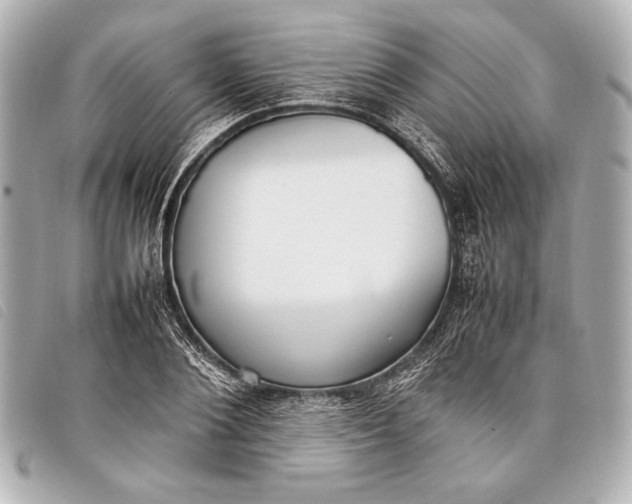X0000098100884200804181422