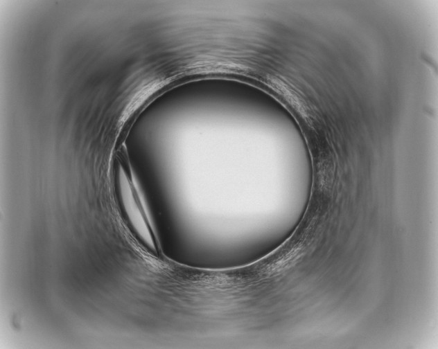 X0000098100885200804181422