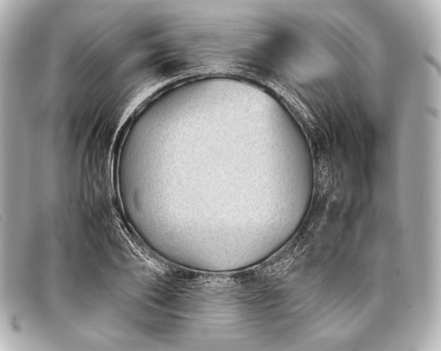 X0000098100886200804181422