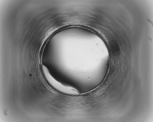 X0000098100887200804181422