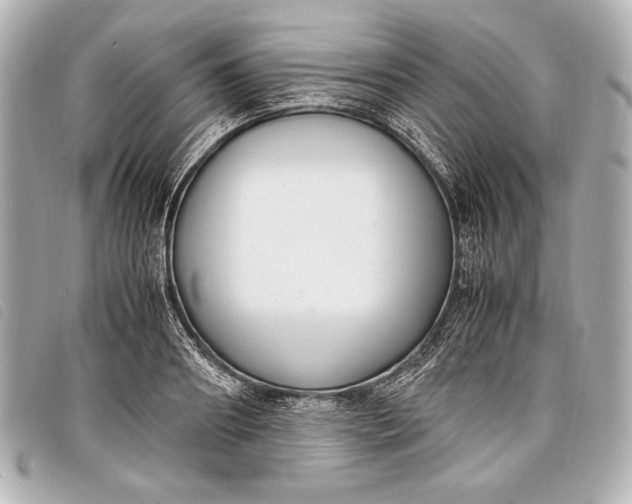 X0000098100890200804181422
