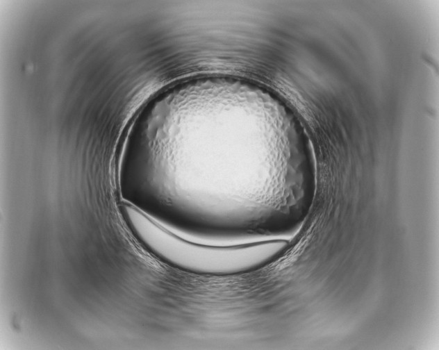 X0000098100891200804181422