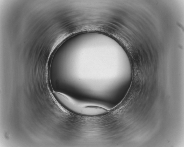X0000098100894200804181422