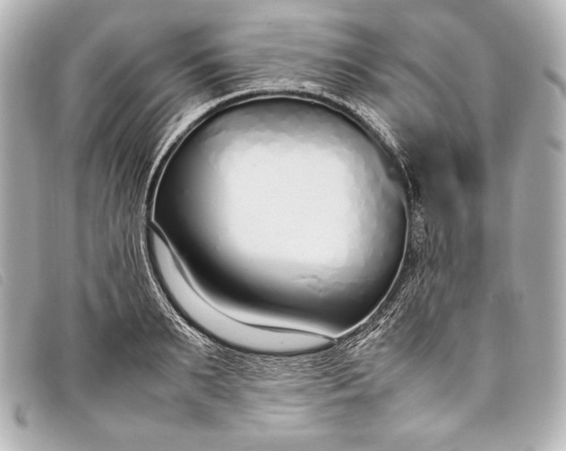 X0000098100895200804181422
