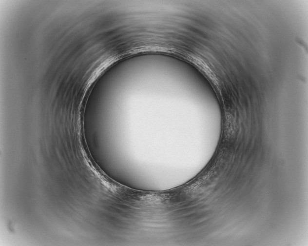 X0000098100898200804181421