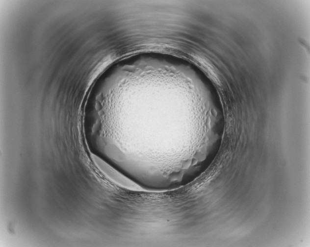 X0000098100899200804181421