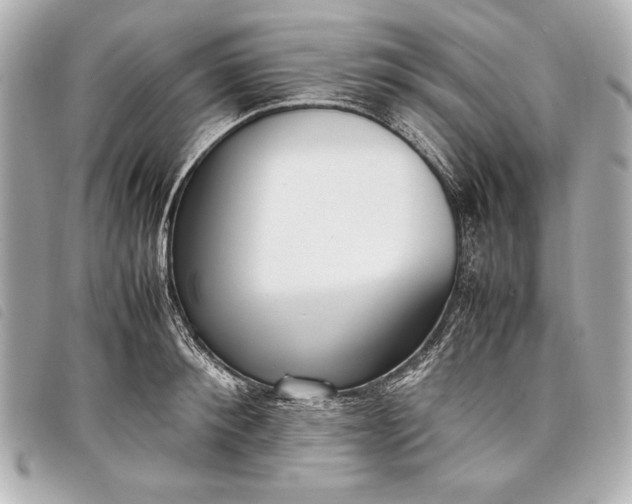 X0000098100900200804181421