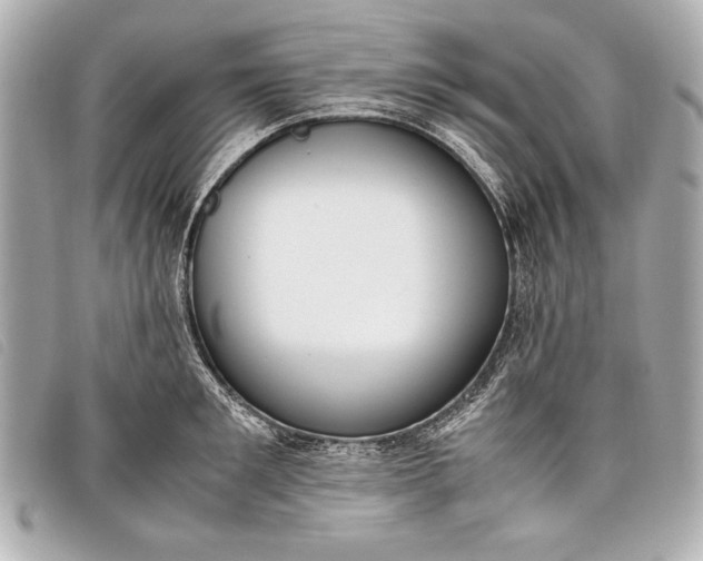 X0000098100901200804181421