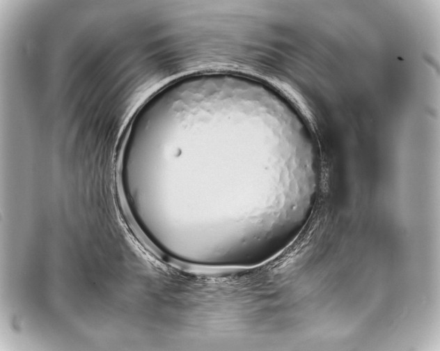 X0000098100903200804181421