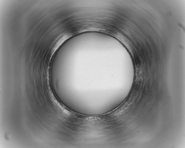 X0000098100906200804181421