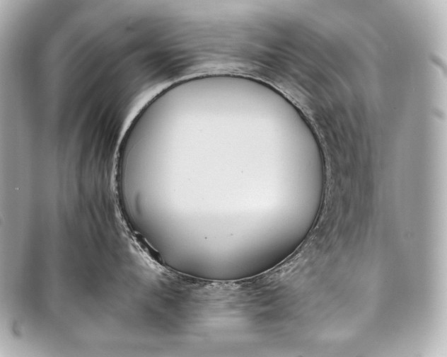X0000098100912200804181421