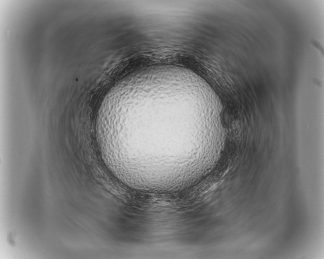 X0000098100913200804181420