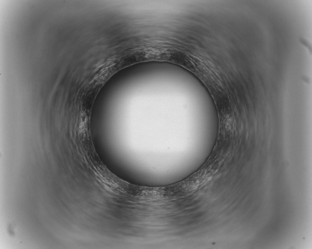 X0000098100914200804181420