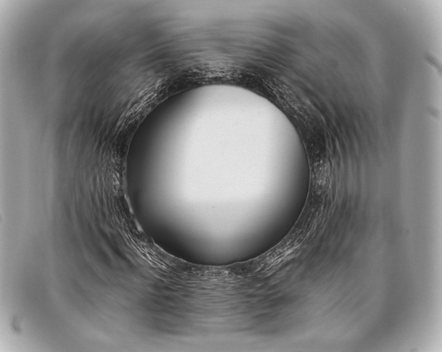 X0000098100916200804181420