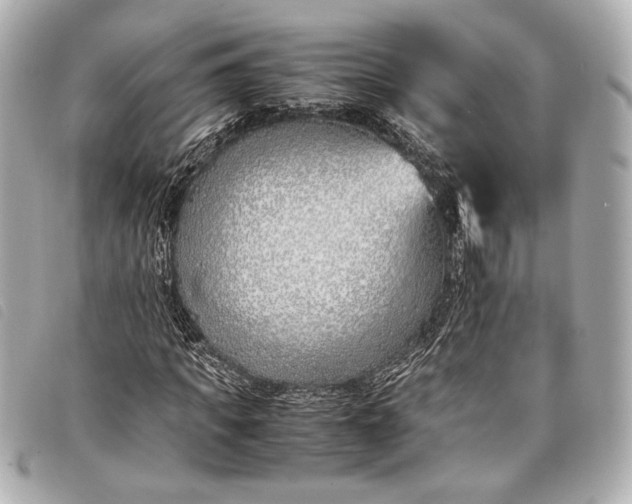 X0000098100917200804181420