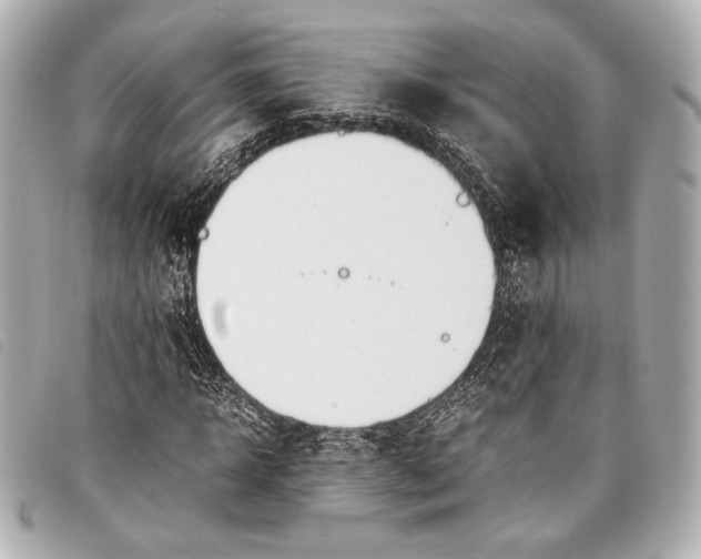X0000098100918200804181420