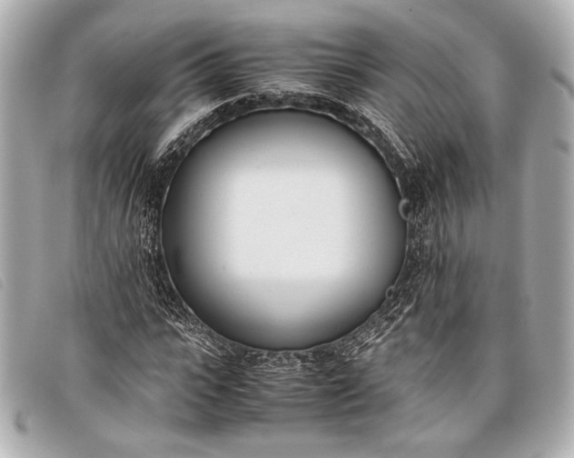 X0000098100919200804181420