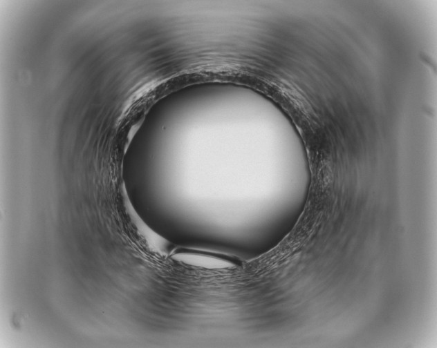 X0000098100920200804181420
