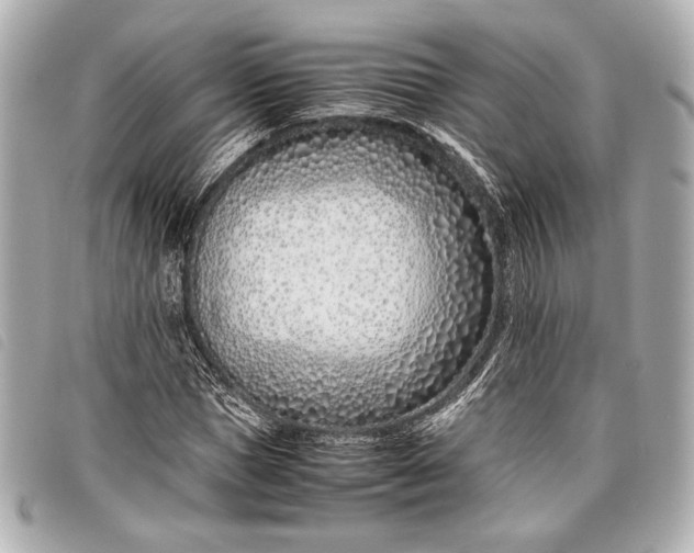 X0000098100921200804181421