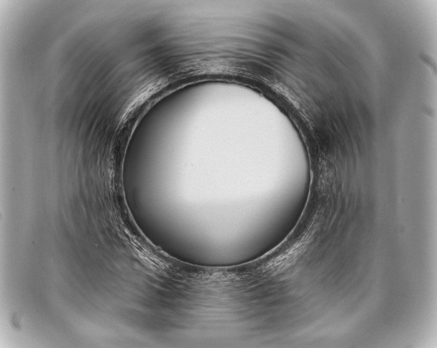 X0000098100922200804181421